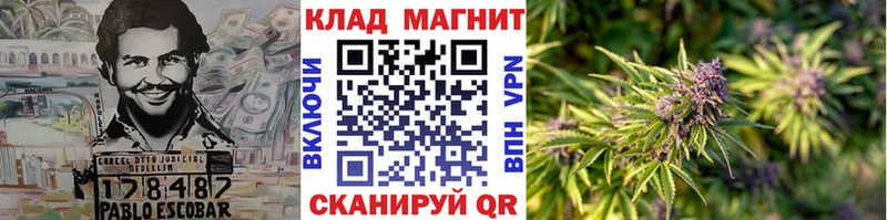 Купить наркотики сайты Чекалин Cocaine  Псилоцибиновые грибы  ГАШИШ  Меф  Alpha PVP 