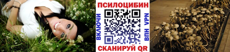 Псилоцибиновые грибы MAGIC MUSHROOMS  Чекалин 